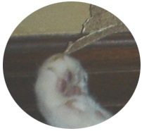 ̖ݒ W.jpg