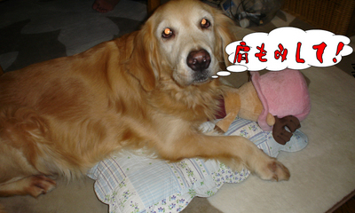 猛獣使い3.jpg