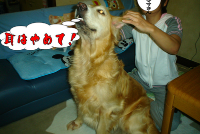 猛獣使い6.jpg