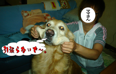 猛獣使い7.jpg