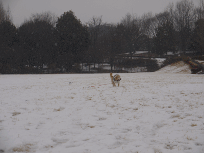 雪遊び1.gif