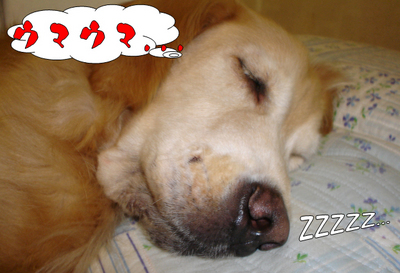 zzz3.jpg