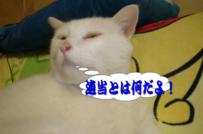 zzz6.jpg