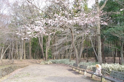1サラダバー08.jpg