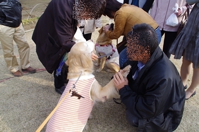 1サラダバー21.jpg