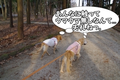 1サラダバー22.jpg