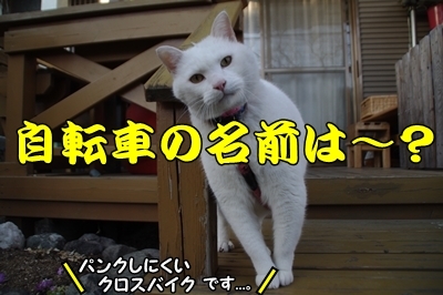 1サラダバー27.jpg