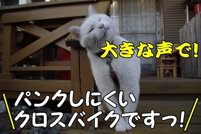1サラダバー28.jpg