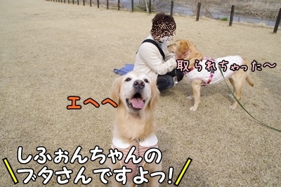 1ブタさん06.jpg