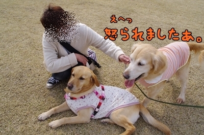 1ブタさん08.jpg