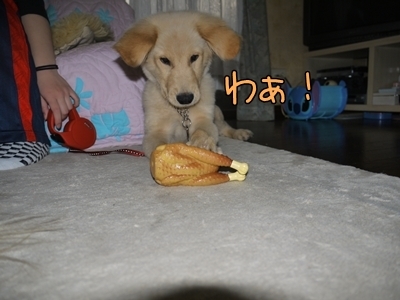 1ミッキーちゃん08.jpg