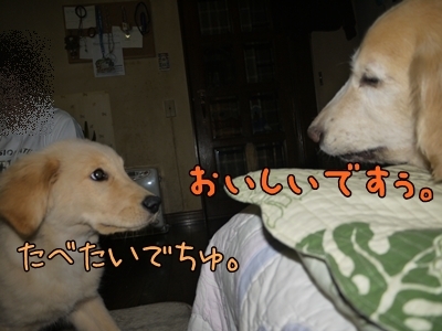 1ミッキーちゃん10.jpg