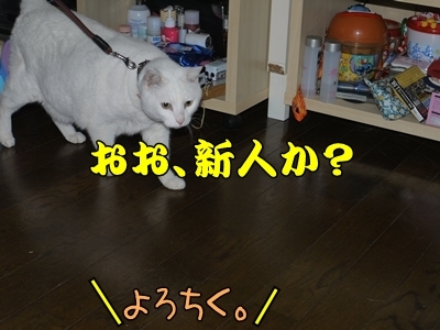 1ミッキーちゃん11.jpg