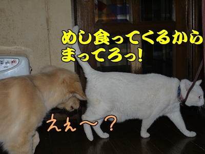 1ミッキーちゃん12.jpg