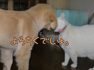 1ミッキーちゃん13.jpg