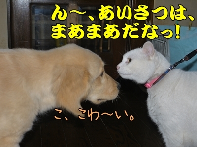 1ミッキーちゃん14.jpg