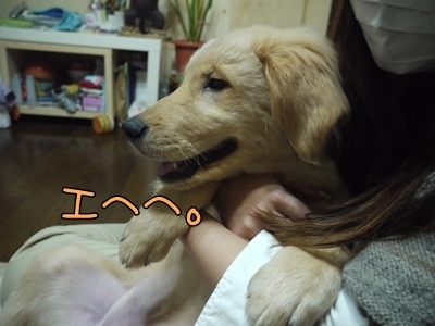 1ミッキーちゃん15.jpg