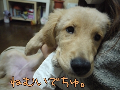 1ミッキーちゃん16.jpg